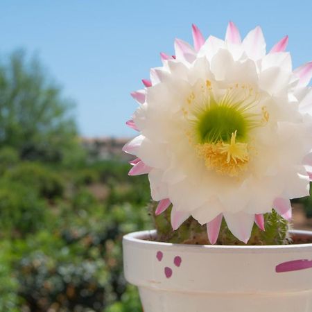 Casa Aromas - Casa Rural Exclusiva Cerca De La Playa - By Marina Alta Holidays เดเนีย ภายนอก รูปภาพ